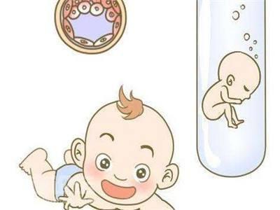 关于丹韵生殖
